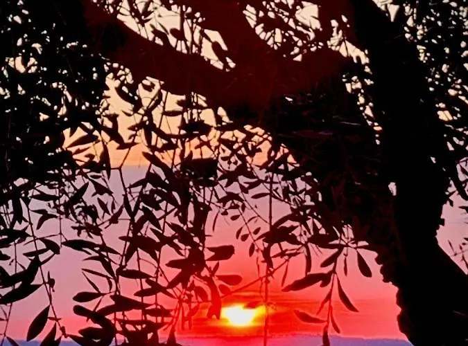 Il Pianetto * Verona