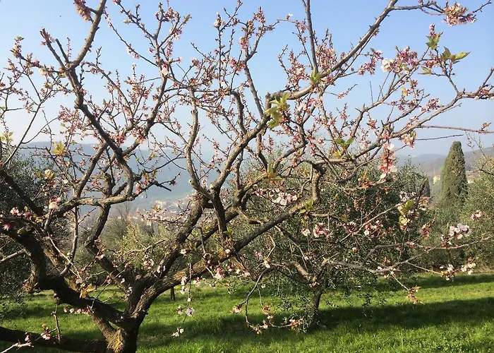 Vakantieboerderij Il Pianetto *