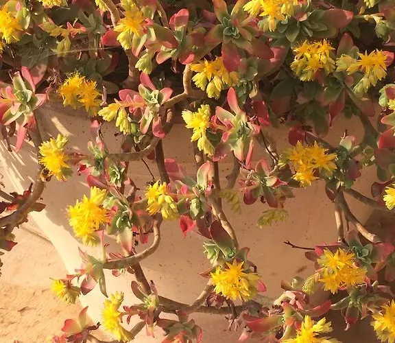 Il Pianetto * Verona